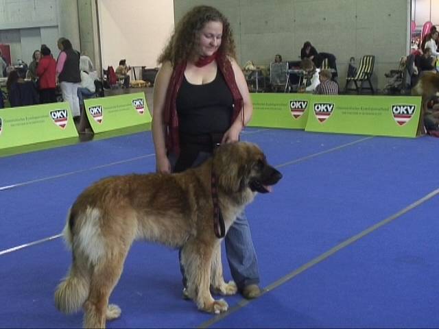 Salzburg Clubschau Mai 06 064 